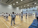 Taekwondo Pre-Black-Belt Technical Seminar - Saturday 25th October 2025