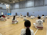 Taekwondo Pre-Black-Belt Technical Seminar - Saturday 25th October 2025