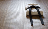 Taekwondo Pre-Black-Belt Technical Seminar - Saturday 25th October 2025