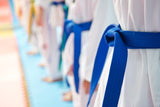 ITS VERVE INTERIM Taekwondo Gradings - Saturday 29th November 2025